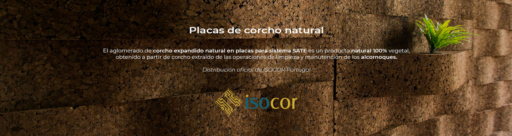 Placas de corcho natural